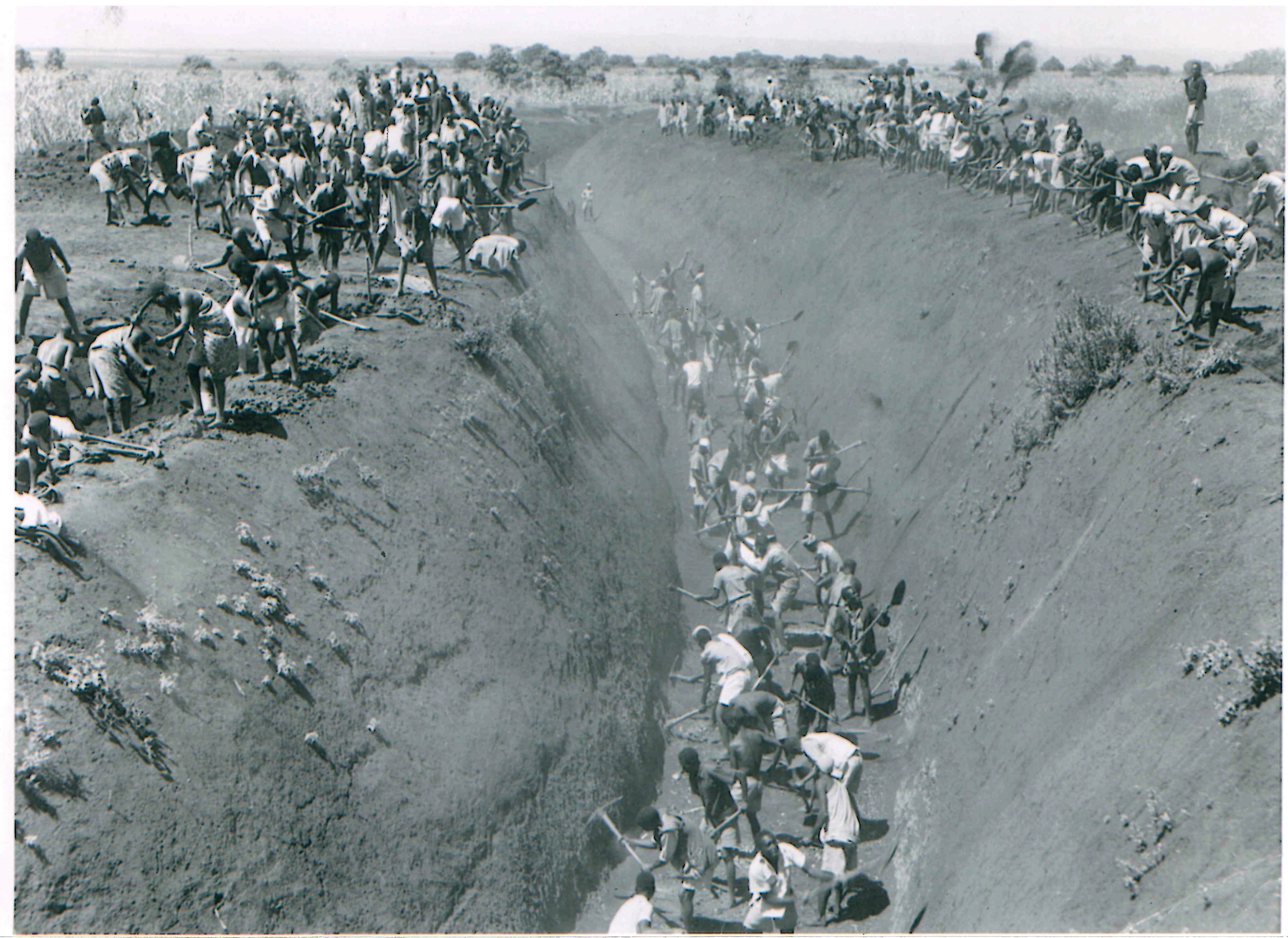 Black-and-white photo showing large numbers of Kenyan natives digging a deep canal using hoes and shovels during the Mau Mau emergency in colonial Kenya. Workers crowd along the trench.