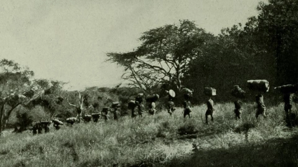 Indigenious communities and migration pattern_A caravan in the Kenyan plains 1945