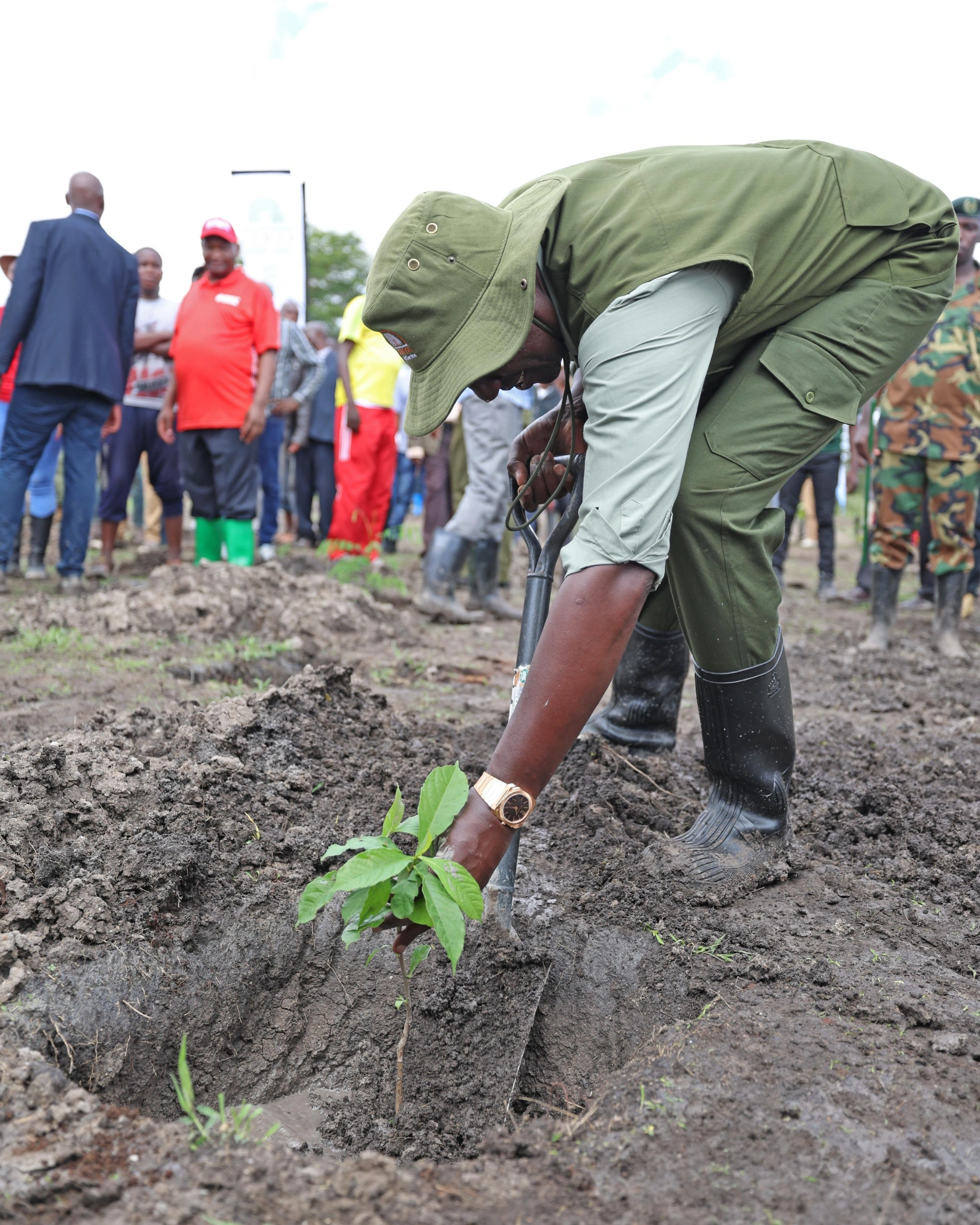 President William Ruto In Kiu Makueni County, during the National Tree Planting Day 1