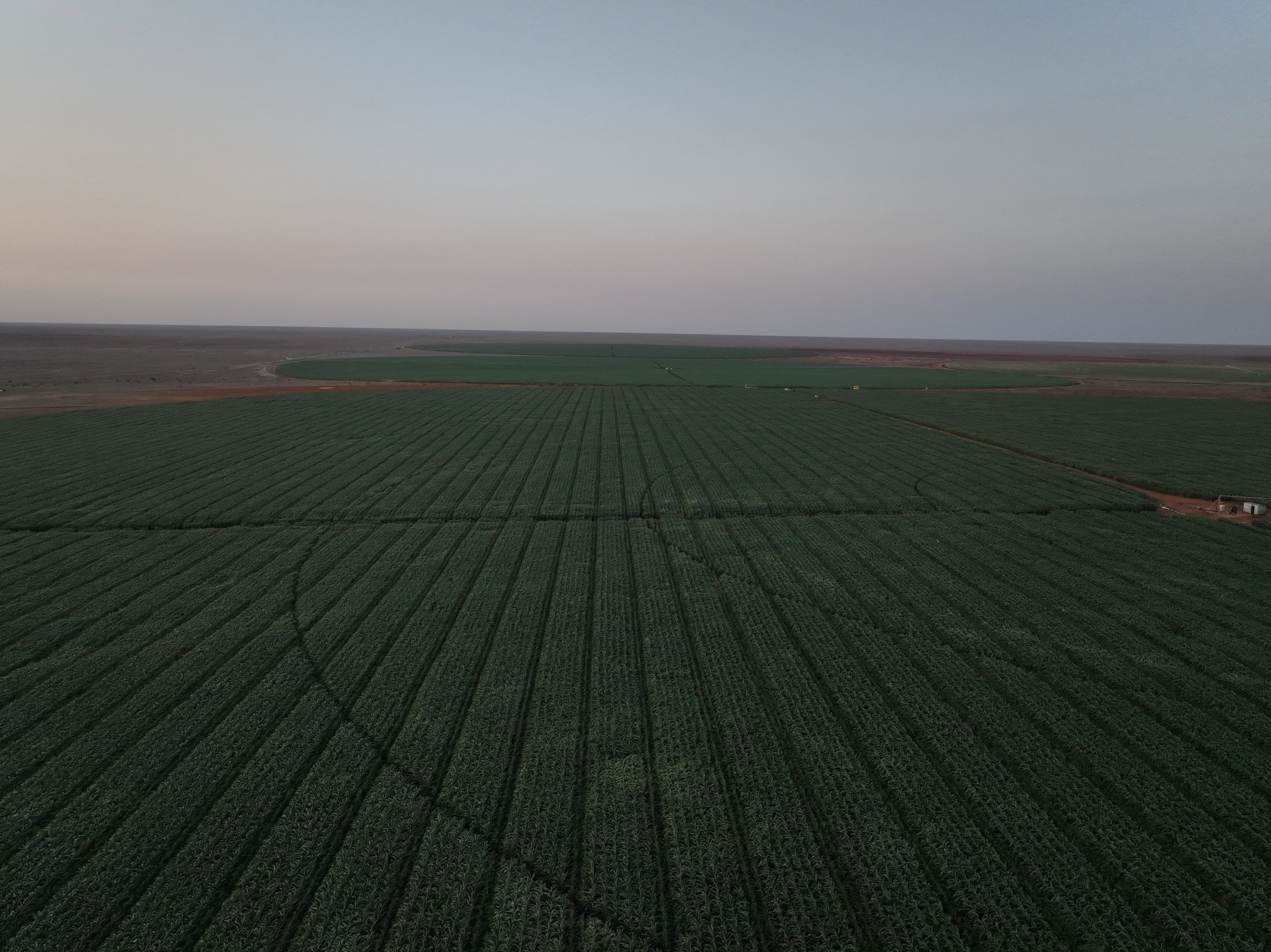 President William Ruto programme on Agriculture and Food Security Galana Kulalu Irrigation project aerial view_2025