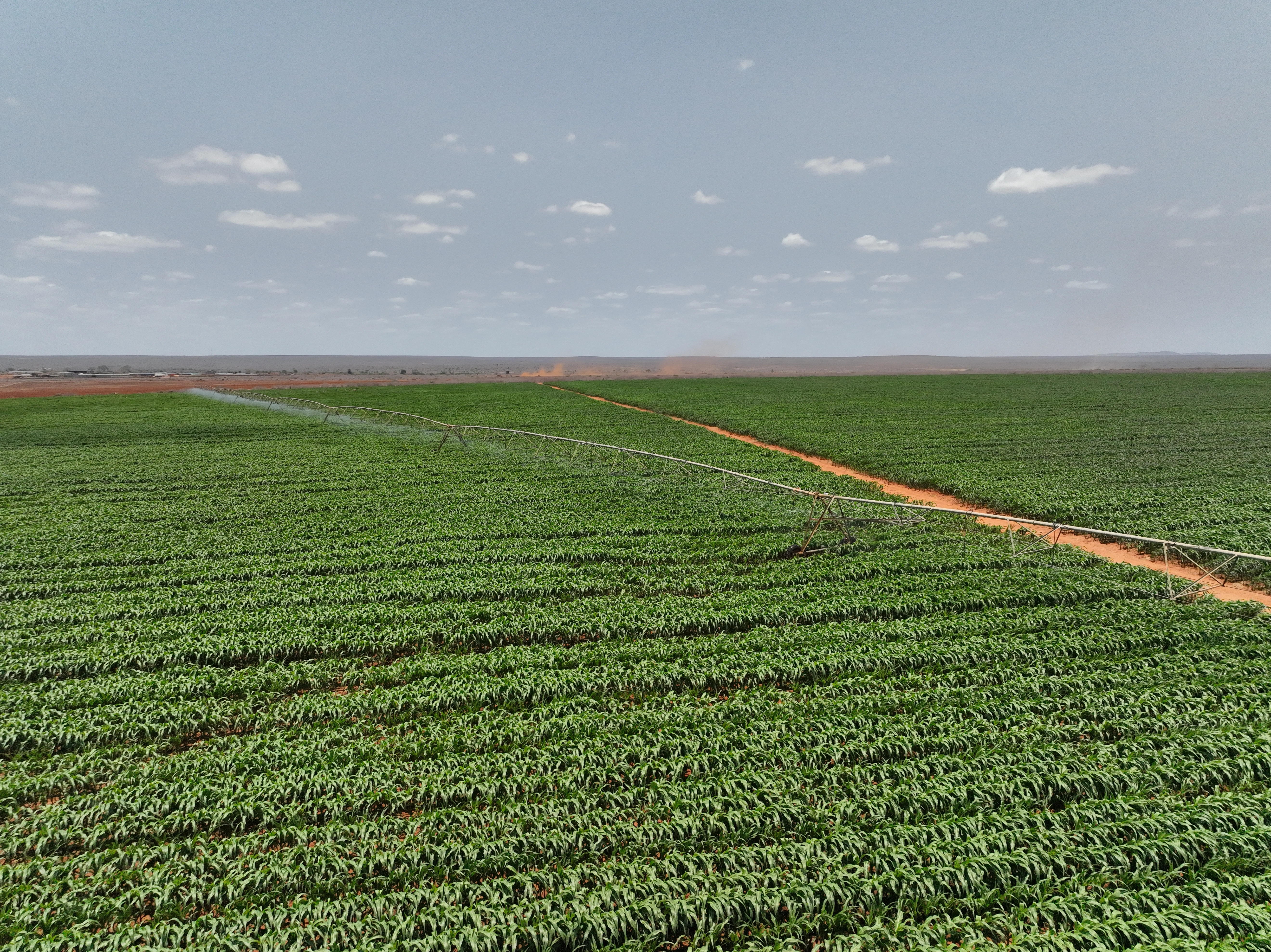 President William Ruto programme on Agriculture and Food Security Galana Kulalu Irrigation project cutaways view_2025.webp